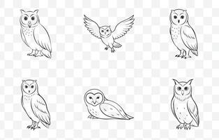 Print Elegant Owl Line Art Set with Intricate Designs and Unique Illustrations for Creative Projects vector