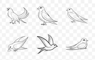 Elegant Swift Bird Line Art Set Collection of Detailed Swift Illustrations vector