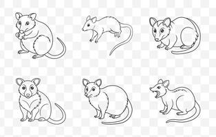 Print Comprehensive Possum Art Set Featuring Detailed Illustrations for Creative Projects and Designs vector