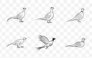 Print Intricate Pheasant Line Art Set for Detailed and Artistic Illustrations vector