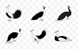 Print Peafowl Line Art Set with Detailed Illustrations for Artistic and Design Projects vector