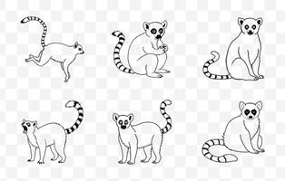 Print Lemur Line Art Set Creative Designs for Print and Digital Projects Featuring Unique Lemur Illustrations vector