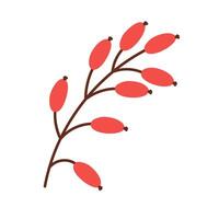Cartoon drawing of branch with leaves isolated on white background. vector