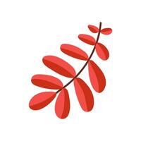 flat fall branch over white background vector