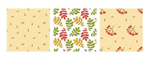 Autumnal leafs seamless pattern. Hand drawn pattern. vector