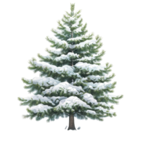 A snowcovered pine tree, nature element, realistic illustration, cool tones, isolated on white background png