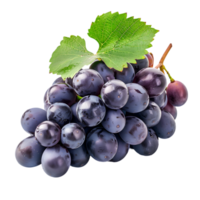 Grape cluster isolated on a transparent background png