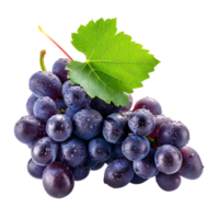 Grape cluster with leaf isolated on a transparent background png