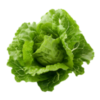 Green leaf isolated on a transparent background png