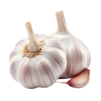Garlic bulbs and clove isolated on a transparent background png