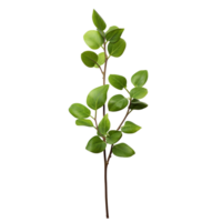 A branch of a plant with green leaves on transparent background png