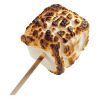Roasted marshmallow on stick alone against transparent background png