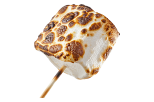 Roasted marshmallow on stick alone against transparent background png