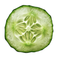Cucumber Slice on Transparent Background png