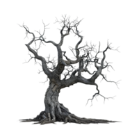 Autumn Tree Without Leaves on Transparent Background png