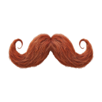 Mustachio on Transparent Background png