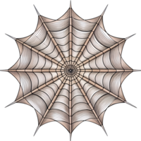 Close-up of a detailed symmetrical spiderweb illustration with intricate patterns against a white background. Perfect for Halloween themes. png