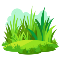 green grass on a white background png