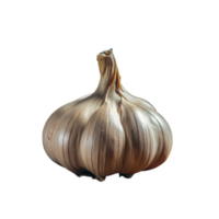 Close-up of black garlic bulb, showcasing its unique rich color and texture. Ideal for gourmet cooking and health food illustrations. png