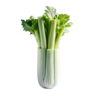 Close-up of fresh celery stalks in vibrant green. Isolated on white background perfect for healthy eating and cooking concepts. png
