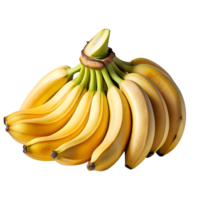 Fresh bananas bunch isolated on white background. Perfect for healthy diet, nutrition, and tropical fruit themes. png
