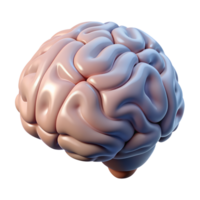 3D rendered human brain model showcasing intricate brain structure and neural pathways, perfect for medical and educational purposes. png