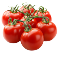 Fresh Red Tomatoes on a Vine, Isolated on a White Background png
