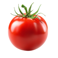 A Single Ripe Red Tomato With Green Stem on White Background png