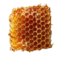Close Up of Honeycomb With Honey Isolated on Transparent Background png