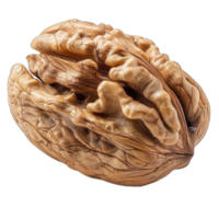 Close Up of a Single Walnut Shell Isolated on a Transparent Background png