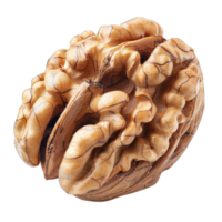 Close Up Image of a Whole Walnut Shell With Visible Inner Shell Structure png