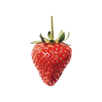 Fresh strawberry isolated on transparent background png