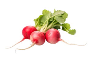 fresh radish on transparent background png