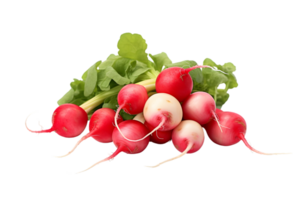 fresh radish on transparent background png