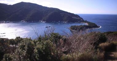 A high angle view of miniature port in Numazu Shizuoka video
