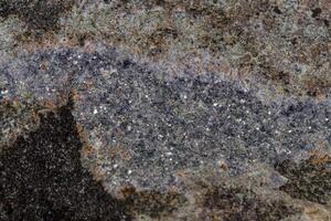 Macro stone Aegirine in charoite on white background photo