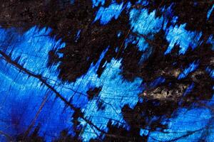 Macro of a stone Labradorite mineral on a white background photo