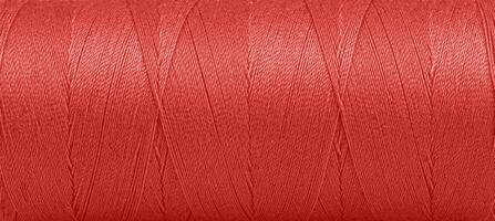 Texture of threads in a spool of red color on a white background photo