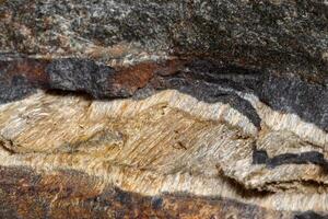 Macro mineral stone Snake eye in the rock a white background photo