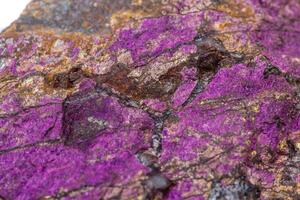 Macro mineral stone purpureus, purple purpurite in the breed a white background photo