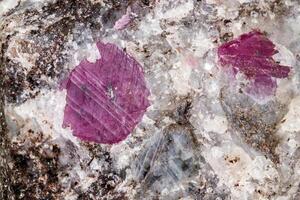 Macro of a mineral Ruby stone on a white background photo