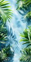 Palm Leaves Against Blue Sky photo