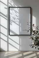 Framed Shadow On White Wall photo
