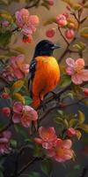 Baltimore Oriole on Apple Branch photo