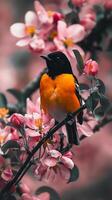 Bird Perched on Apple Blossom Branch photo