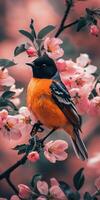 Bird Perched on Apple Blossom Branch photo