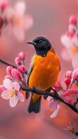 Bird Perched on Apple Blossom Branch photo