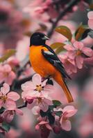 Bird Perched on Apple Blossom Branch photo