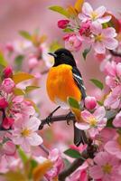 Bird on Apple Blossom Branch photo