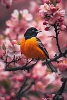Bird Perched on Apple Tree Branch photo